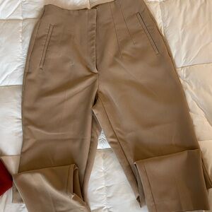 Zara Tan pants